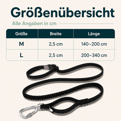 Freihändige Hundeleine – mehr Freiheit & Kontrolle unterwegs