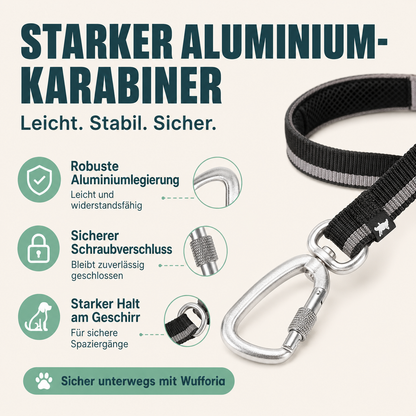 Freihändige Hundeleine – mehr Freiheit & Kontrolle unterwegs