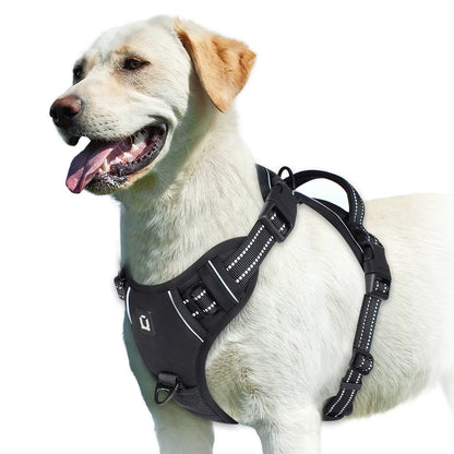Hundegeschirr – bequem führen ohne Würgen