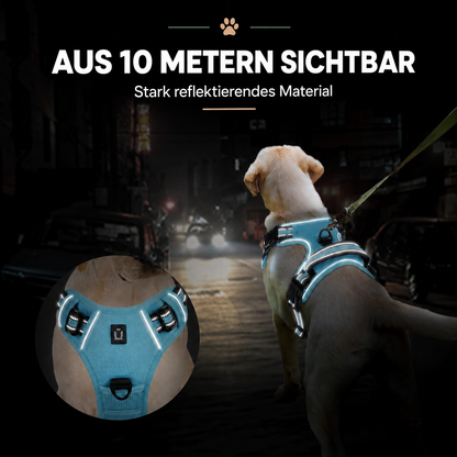 Hundegeschirr – bequem führen ohne Würgen