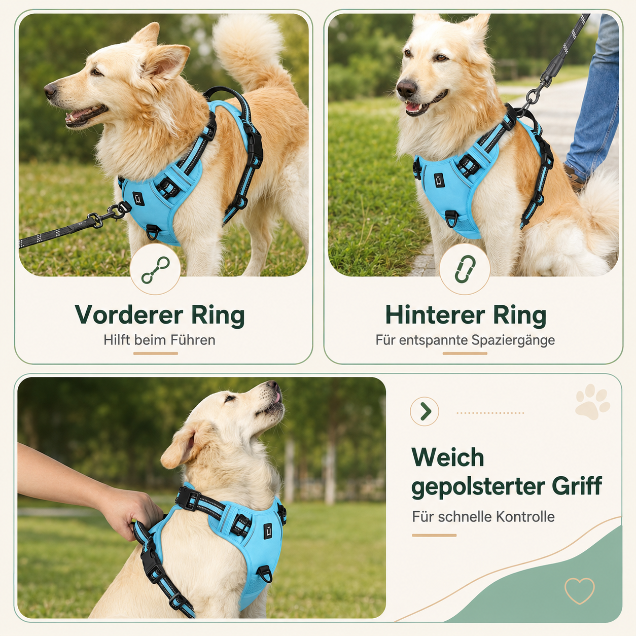 Hundegeschirr – bequem führen ohne Würgen