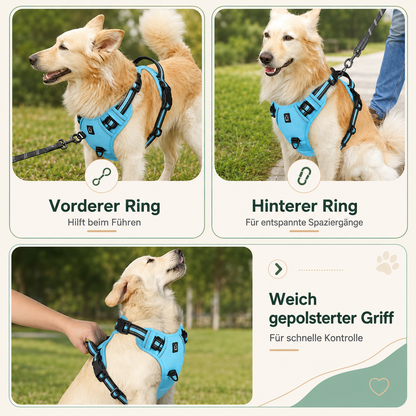 Hundegeschirr – bequem führen ohne Würgen