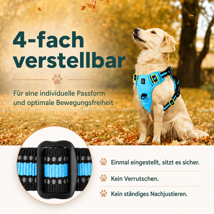 Hundegeschirr – bequem führen ohne Würgen