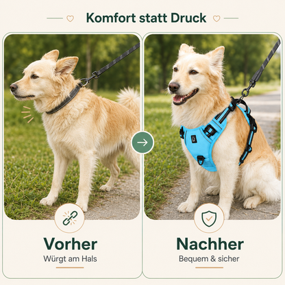Hundegeschirr – bequem führen ohne Würgen