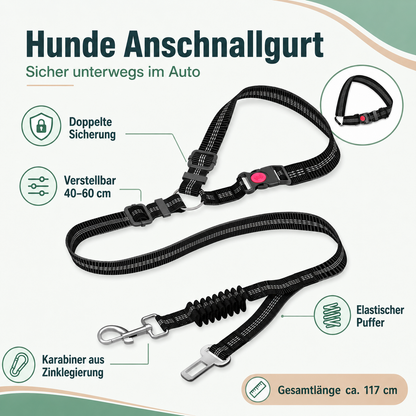 Hunde Anschnallgurt – sicherer Transport im Auto