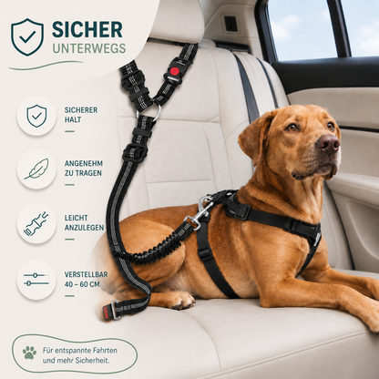 Hunde Anschnallgurt – sicherer Transport im Auto