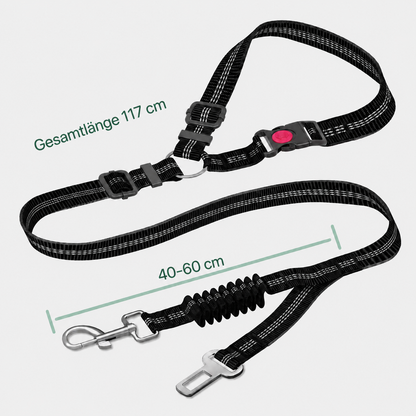 Hunde Anschnallgurt – sicherer Transport im Auto